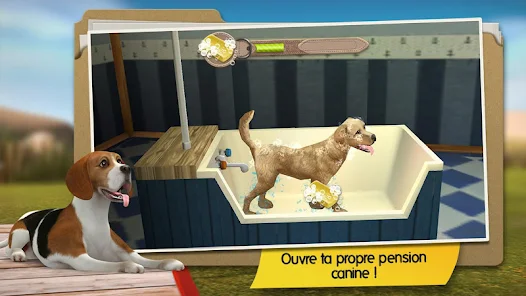 Dog hotel discount