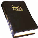 Versículos de la Biblia diario icon