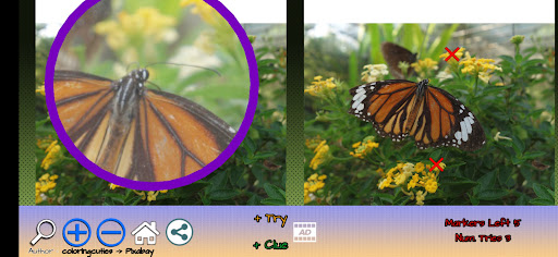 Android application Spot the differences screenshort