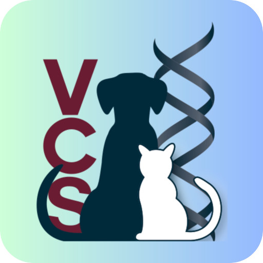 VCS Events logo