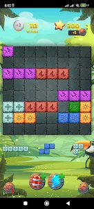 Block Puzzle Wild