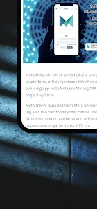 Meta Network