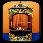 Cover Image of Download the idea of a bird cage collec  APK