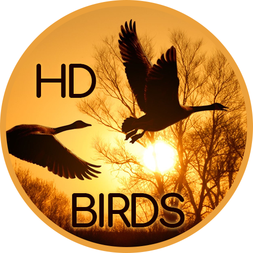Birds wallpapers for phone logo