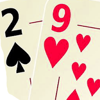 29 Card Game Champion : Free Card Game