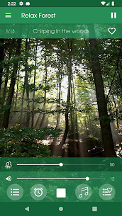 Relax Forest – Nature sounds: sleep & meditation 2