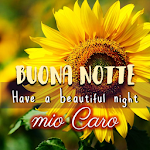 Cover Image of Download Italian Good Night Wishes Card  APK