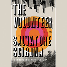 Icon image The Volunteer: A Novel