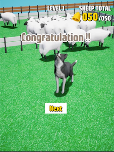 Sheep Herding SOIYA