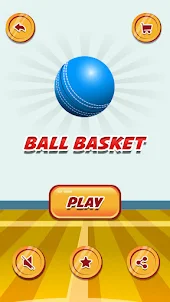 Ball Basket : Catch the ball