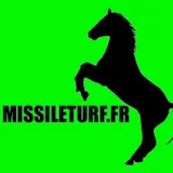 Missile Turf icon