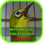 Masteran Pleci Ngalas Ngerol Terbaru Offline