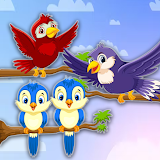 Bird Sort 3D - Color Sort Game icon