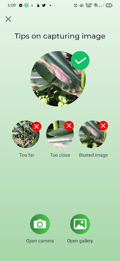 Corn Health AI Screen 2