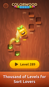 Colorwood Sort Puzzle Game 4