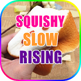 Squishy Slow Rising icon