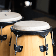 Bongo Drum Sounds