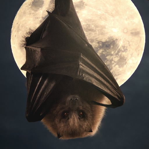 Bat Sounds logo