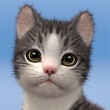 My Cat:Dream Kitty Game icon