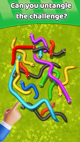 Tangled Snakes Puzzle Game banner