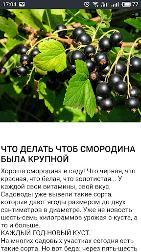 ОГОРОД Хитрости садоводов Screen 3