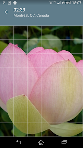 Screenshot 8 Rompecabezas: Flores android