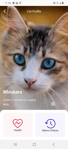 Meowtalk Applications Sur Google Play