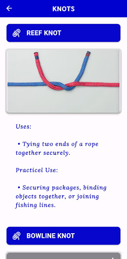 Scouts and Guides Screen 3