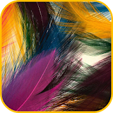 Color Of Feathers Wallpapers. icon