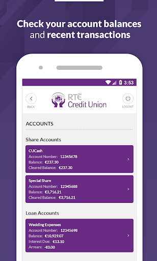 RTE Credit Union Screen 2