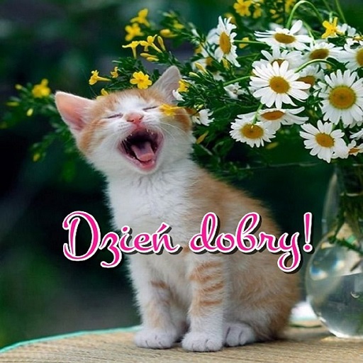 Dzień dobry! logo