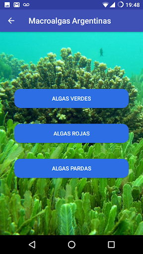 Identificador de Algas