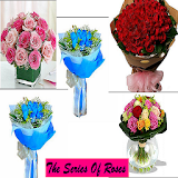 The Series Of Roses icon