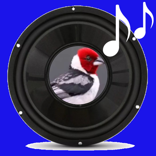 Encarte de Pássaros 1.0.3 Icon