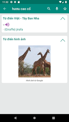 Vietnamese Spanish Dictionary Screen 2