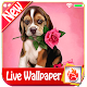 Cute Puppy Rose Live Wallpaper Puppy Dog LWP 2019 Baixe no Windows