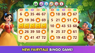 Game screenshot Bingo Fairytale mod apk