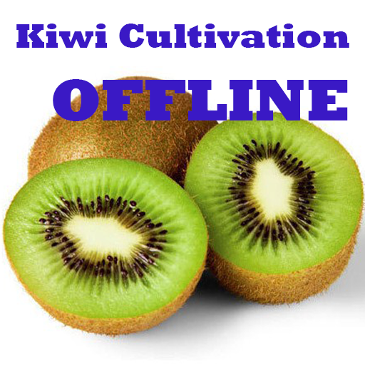 Kiwi Cultivation