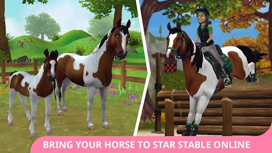 Star Stable Horses MOD APK (Unlocked) Download 7