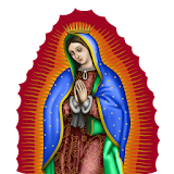 Imagenes Virgen Guadalupe 2017 icon