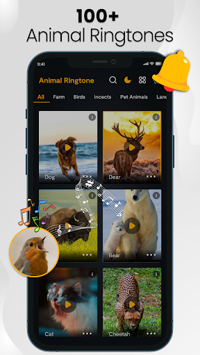 Android application Animal Ringtones: Bird Sounds screenshort