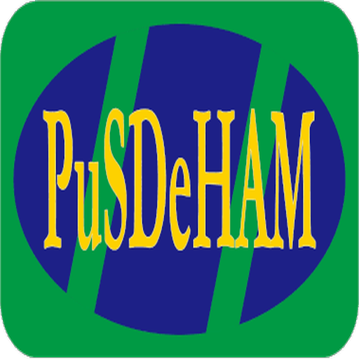 Survey Pusdeham logo