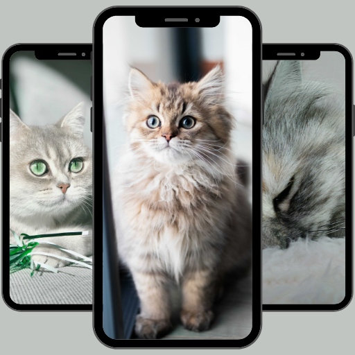 Cute cats wallpaper HD Windowsでダウンロード