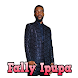 Fally Ipupa sans internet - Androidアプリ