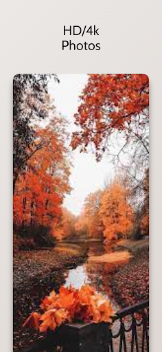 Beautiful Autumn Wallpaper HD Screen 3