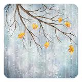 Rainy Day Live Wallpaper icon