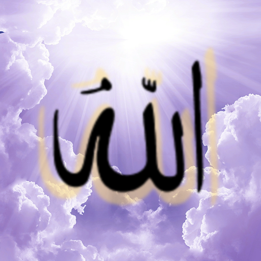 Tohfa-e-Firoze logo