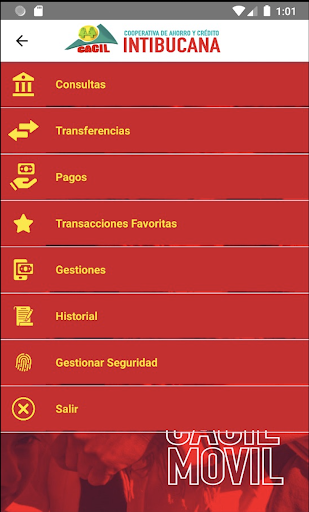 Cacil Móvil Screen 3