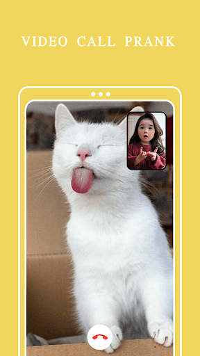 Cat Fake Video Call Cat Game Screen 2