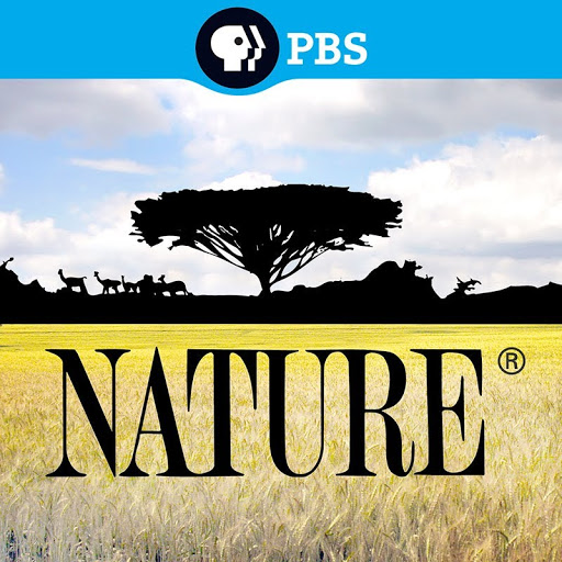 Nature TV on Google Play
